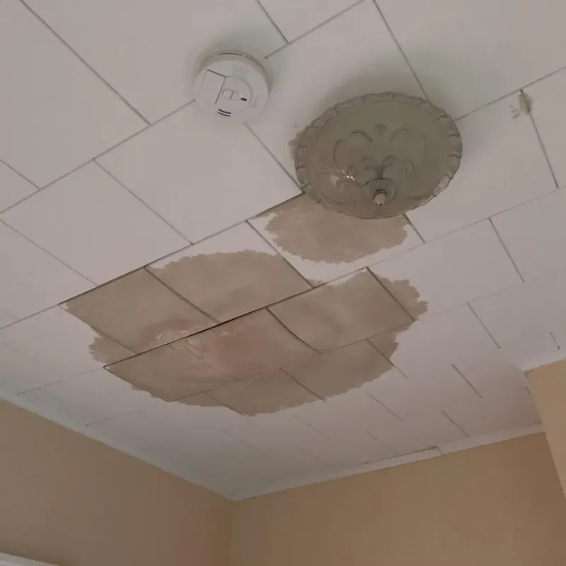 Ceiling Water Damage Repair in South Amherst, MA