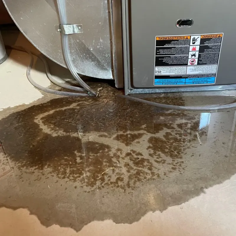 Pipe Burst and Leak Restoration in South Amherst, MA